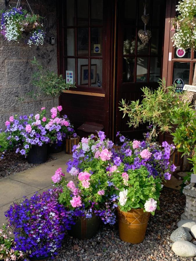 The Old Station Guest House St Andrews Luaran gambar